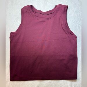 Paragon Columbia Crop Top with bra in Merlot